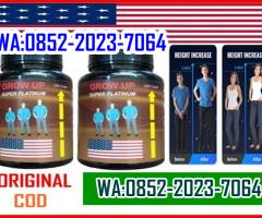APOTIK PLATINUM 0852-2023-7064 JUAL OBAT PENINGGI BADAN GROW UP PLATINUM DI LEGOK