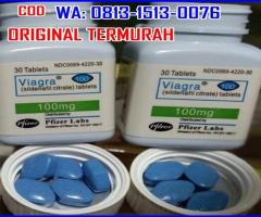 081315130076 | Jual Viagra Asli Di Karawaci Tangerang Original